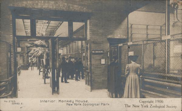 Interior Monkey House New York Zoological Park 1906