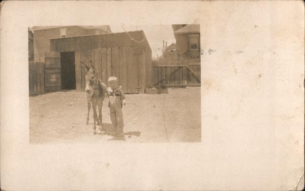 Donkey and Child El Paso Texas