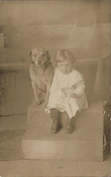 Toddler and Dog Dogs