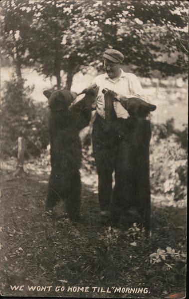 Bears Drinking From Bottles, Forest House Edward Doolan Old Forge New York