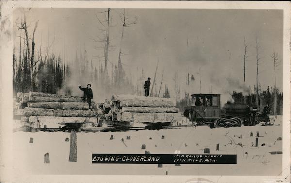 Logging in Winter Cloverland Wisconsin