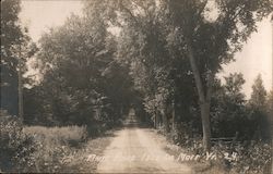 Main Road Postcard
