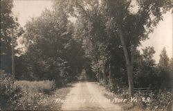 Main Road Isle La Motte, VT Postcard Postcard Postcard