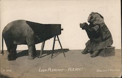 Elephant taking Photograph of an Elephant in a Dress Postcard