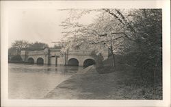 Tidal Basin Bridge at Cherry Blossom Time Postcard