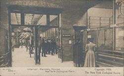 Interior Monkey House New York Zoological Park 1906 Postcard Postcard Postcard