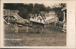 Children in Donkey-drawn Wagon Postcard
