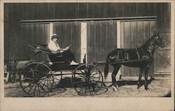 Man in Horse-Drawn Carriage Postcard