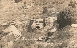 Face in the Rock Postcard