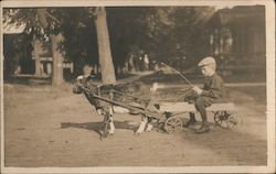 Boy on Goat-Drawn Wagon Postcard