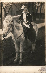 Young Girl on Donkey Donkeys Postcard Postcard Postcard