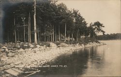 Jamaica Pointe Camps Resort Belgrade Lakes, ME Postcard Postcard Postcard