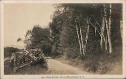 Scenic Road in the White Mountains Postcard