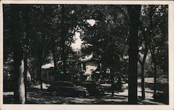 Mt. Pleasant Park Postcard