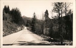 McKenzie Highway Postcard