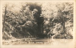 Roaring River Spring and Lake Cassville, MO Fields Postcard Postcard Postcard