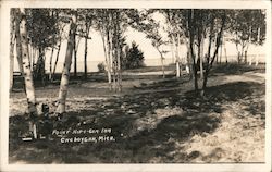 Point Mip-I-Con Inn Cheboygan, MI Postcard Postcard Postcard