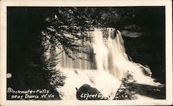 Blackwater Falls Postcard