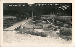 Roaring River Fish Hatchery and Falls Postcard