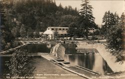Fish Hatchery Postcard