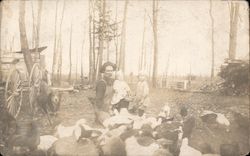 Grandpa Ruland, Lester & Harvey Feed the Chickens Postcard