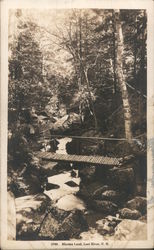 Elysian Land Postcard