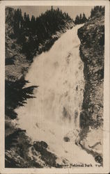 Falls at Ranier National Park Postcard