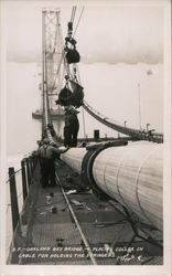 San Francisco Oakland Bay Bridge Postcard