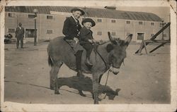 Boys Riding Donkey Postcard