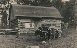 Stock #977515 Thumbnail