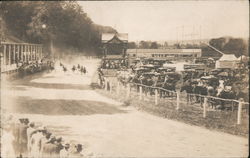 1913 Horse Race at Chenago County Fair Postcard
