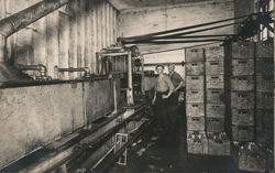 Two Men Working at Modern Milk Co. Postcard