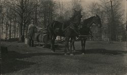 Collecting Maple Sap with Horses Pulling Barrels on a Sleigh Postcard