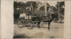 Evans Dairy Men Delivering Milk, Horse-drawn Wagon Postcard