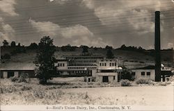 Reid's Union Dairy Incorporated Postcard