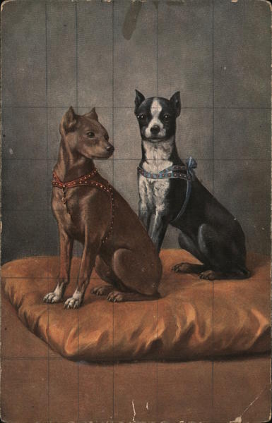 Two Dogs on Top of a Pillow