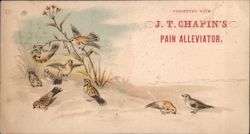 Presented With J. T. Chapin's Pain Alleviator Trade Card