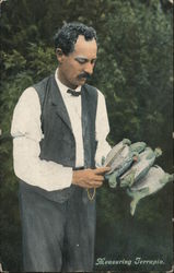 A Man Standing While Measuring Terrapin Postcard