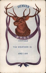 Denver B.P.O.E. Elks Club Postcard Postcard Postcard