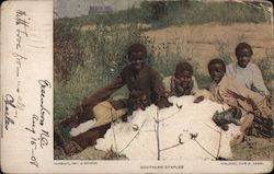 Southern Staples Postcard