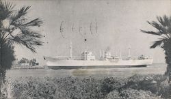 Pacific Islands Transport Line Postcard