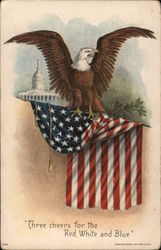 Eagle on Flag Postcard