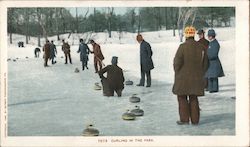 Curling in the park Postcard