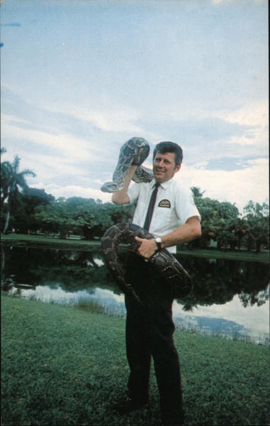 Carl, The Friendly Python at Crandon Park Zoo Miami Florida