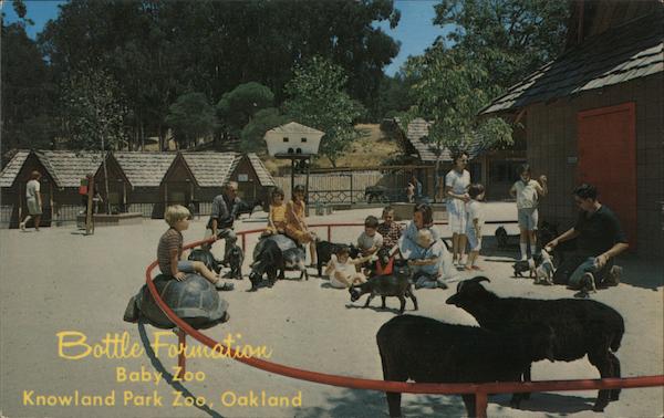Bottle Formation, Baby Zoo, Knowland Park Zoo Oakland California