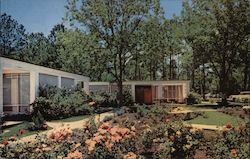 Longfellow House and Gardens Postcard