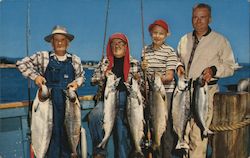 Salmon Catch, Santa Cruz Municipal Wharf, California Postcard