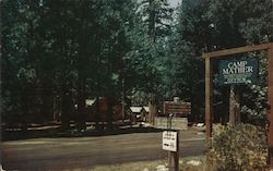Camp Mather Postcard