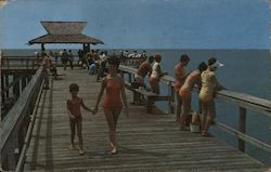 Naples 1,000 Foot Fishing Pier - Free Fishing Florida Postcard Postcard Postcard