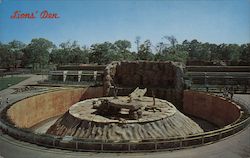 Lion's Den Houston Zoo Postcard